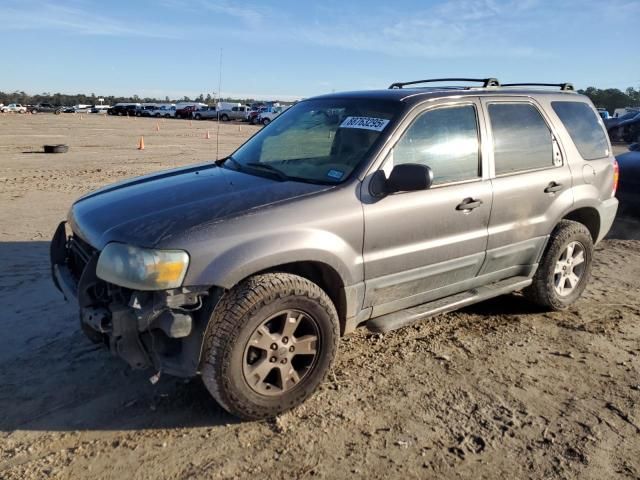 2005 Ford Escape XLT