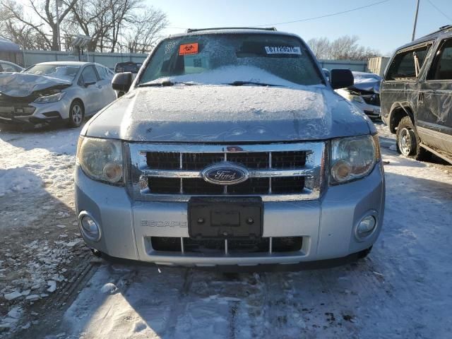 2008 Ford Escape XLT