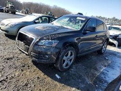 Salvage cars for sale at Windsor, NJ auction: 2010 Audi Q5 Premium Plus