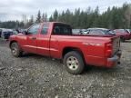 2008 Dodge Dakota SXT