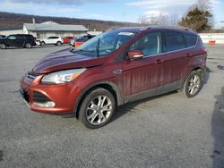 Ford Escape salvage cars for sale: 2016 Ford Escape Titanium