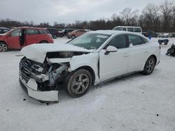 Lots with Bids for sale at auction: 2021 Hyundai Sonata SE