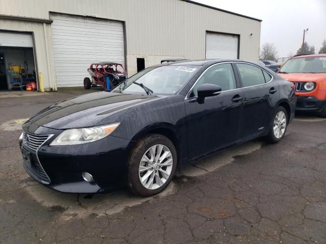 2013 Lexus ES 300H