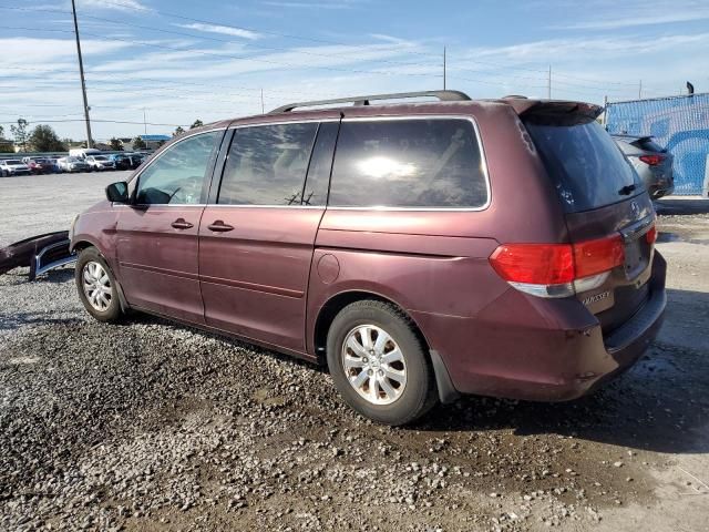 2010 Honda Odyssey EXL