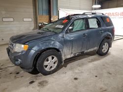 Salvage cars for sale at Eldridge, IA auction: 2011 Ford Escape XLT