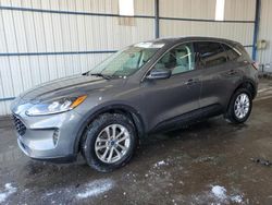 Salvage cars for sale at Brighton, CO auction: 2022 Ford Escape SE