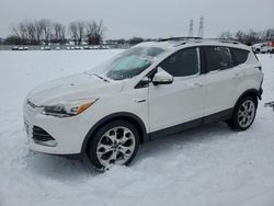 2014 Ford Escape Titanium en venta en Barberton, OH