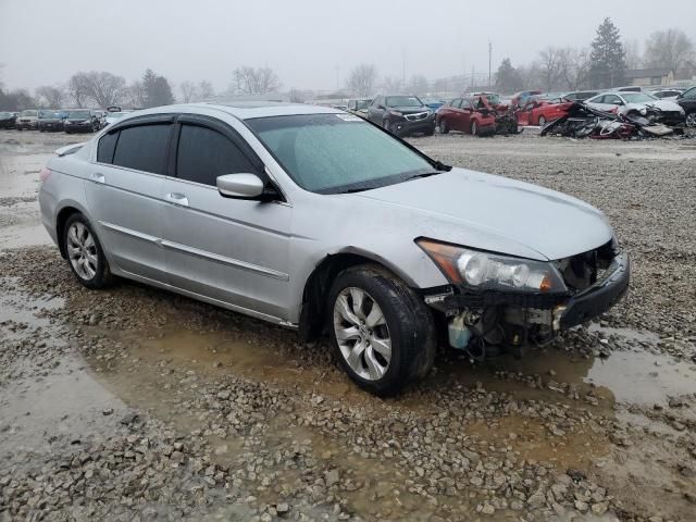 2008 Honda Accord EXL