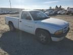 2001 Dodge Dakota