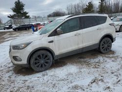 Ford Escape salvage cars for sale: 2017 Ford Escape Titanium