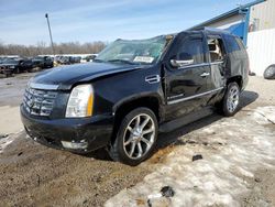 Salvage cars for sale at Louisville, KY auction: 2008 Cadillac Escalade Luxury