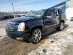 2008 Cadillac Escalade Luxury