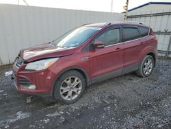 Ford Vehiculos salvage en venta: 2014 Ford Escape Titanium