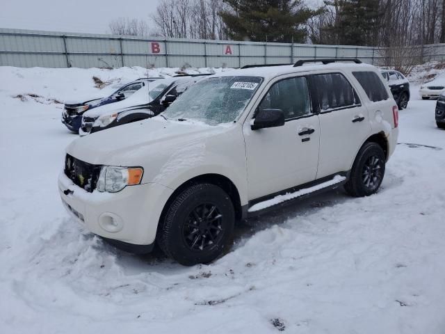 2011 Ford Escape XLT