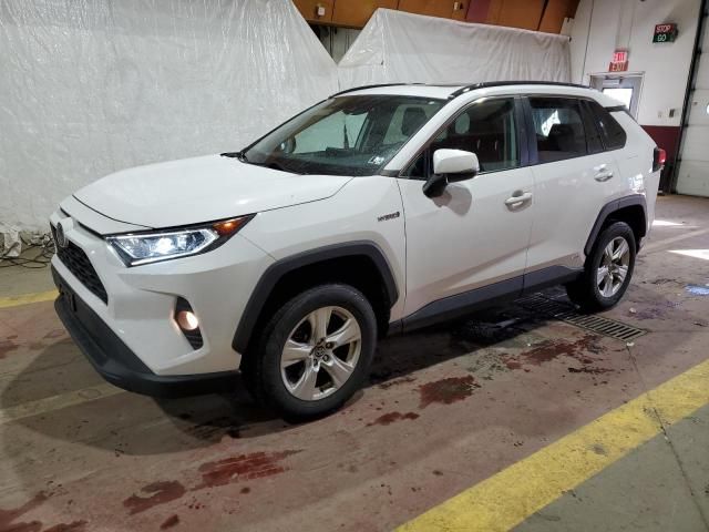 2020 Toyota Rav4 XLE