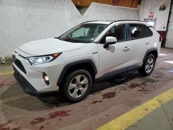 Toyota rav4 xle salvage cars for sale: 2020 Toyota Rav4 XLE