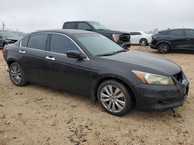 2011 Honda Accord EXL