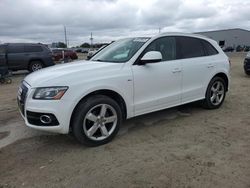 Salvage cars for sale at Jacksonville, FL auction: 2011 Audi Q5 Premium Plus