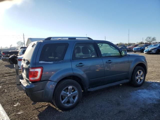 2010 Ford Escape Limited