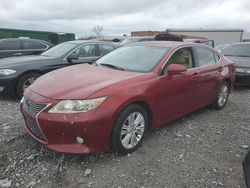 Lexus Vehiculos salvage en venta: 2013 Lexus ES 350