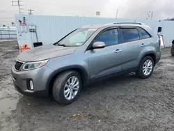 KIA salvage cars for sale: 2014 KIA Sorento EX