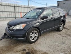 Salvage cars for sale at Jacksonville, FL auction: 2011 Honda CR-V EX