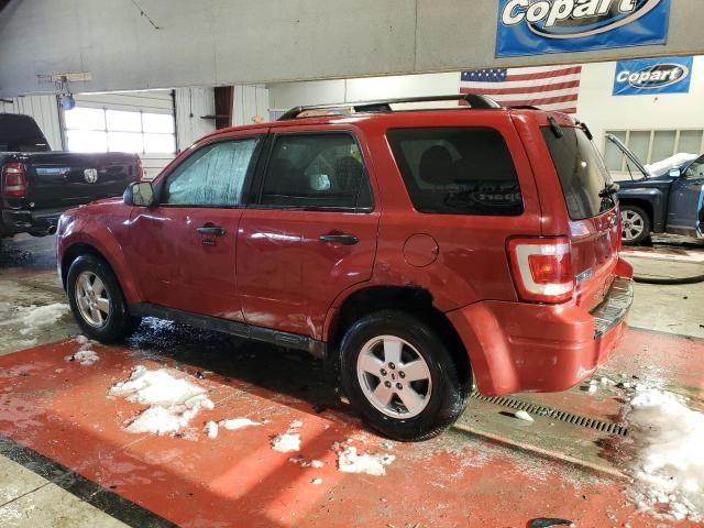 2011 Ford Escape XLT