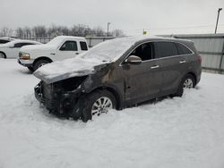 Salvage cars for sale at Lawrenceburg, KY auction: 2019 KIA Sorento L