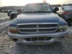 2002 Dodge Dakota SLT