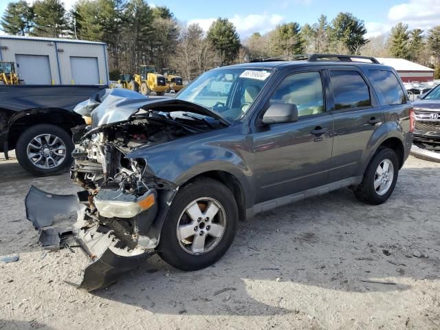 2009 Ford Escape XLT