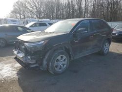 Vehiculos salvage en venta de Copart Cleveland: 2023 Toyota Rav4 LE