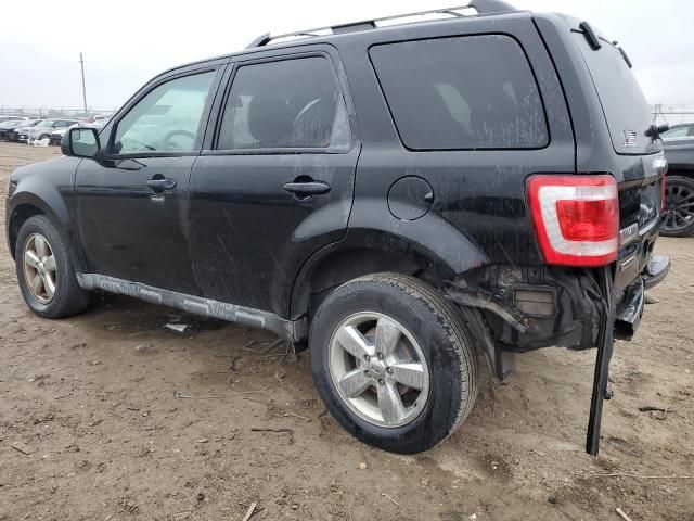 2010 Ford Escape Limited