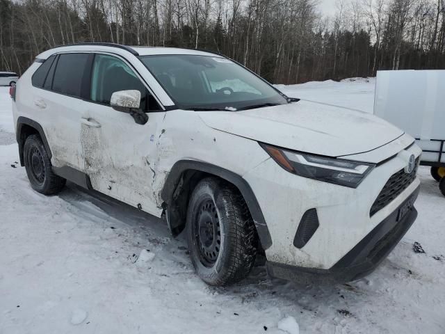 2024 Toyota Rav4 XLE