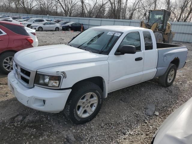 2011 Dodge Dakota SLT