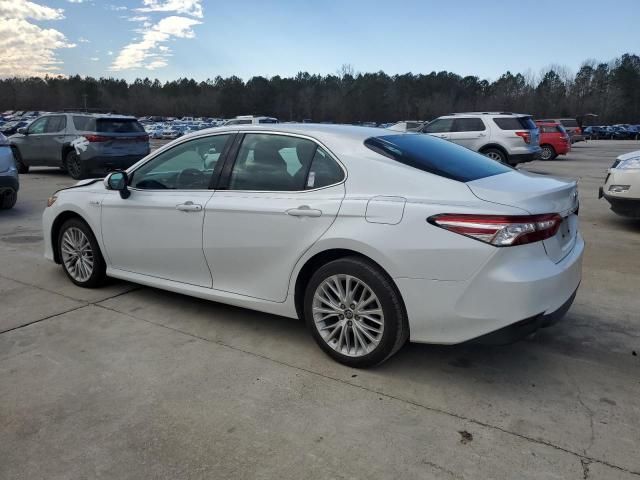 2019 Toyota Camry Hybrid