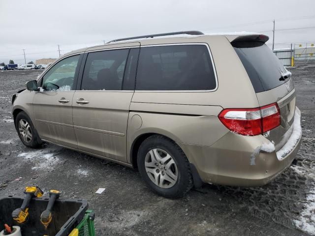 2005 Honda Odyssey EX