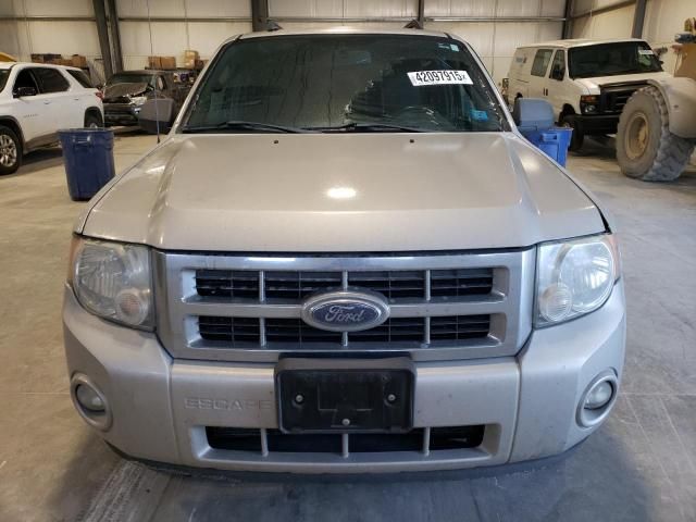 2009 Ford Escape XLT