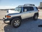 2007 Toyota FJ Cruiser