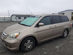 Lots with Bids for sale at auction: 2007 Honda Odyssey EX