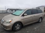 2007 Honda Odyssey EX