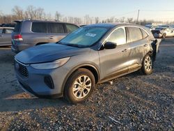 Salvage cars for sale at Portland, OR auction: 2024 Ford Escape Active