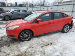 Salvage cars for sale at Walton, KY auction: 2016 Ford Focus SE