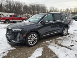 Salvage cars for sale from Copart Baltimore, MD: 2020 Cadillac XT6 Premium Luxury