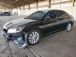 Honda Vehiculos salvage en venta: 2013 Honda Accord EXL