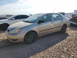 Salvage cars for sale from Copart Phoenix, AZ: 2008 Toyota Corolla CE