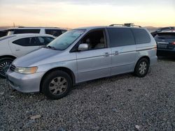 Salvage cars for sale from Copart Reno, NV: 2003 Honda Odyssey EXL