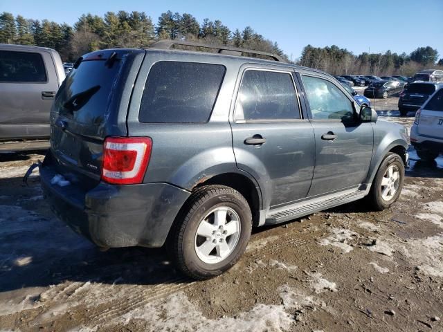 2009 Ford Escape XLT