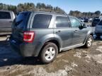 2009 Ford Escape XLT