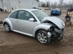 2002 Volkswagen New Beetle GLX