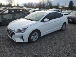 Salvage cars for sale at Portland, OR auction: 2019 Hyundai Elantra SE